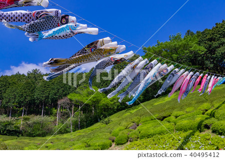 A carp streamer at Himenosawa Park in Atami City, Shizuoka Prefecture A carp streamer at Himenosawa Park in Atami City, Shizuoka Prefecture 40495412