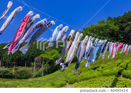 A carp streamer at Himenosawa Park in Atami City, Shizuoka Prefecture 40495414