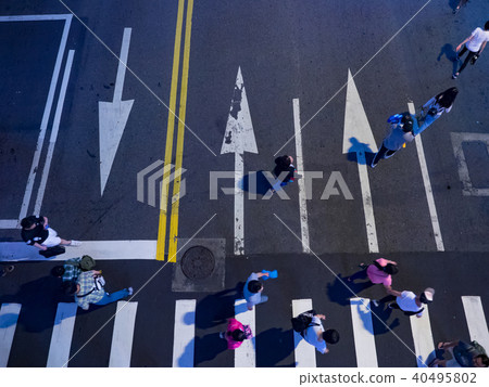 zebra crossing zebra crossing 40495802