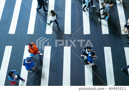 zebra crossing zebra crossing 40495811
