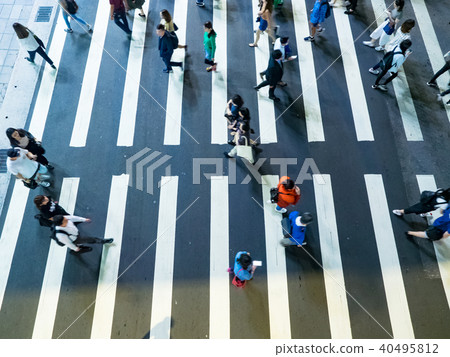 zebra crossing zebra crossing 40495812