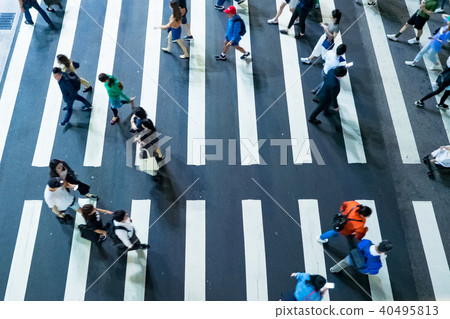 zebra crossing 40495813