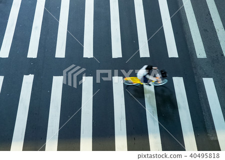 zebra crossing 40495818
