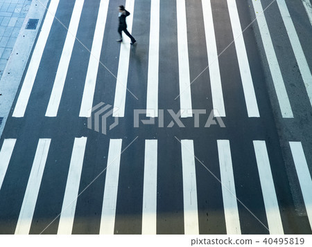 zebra crossing 40495819