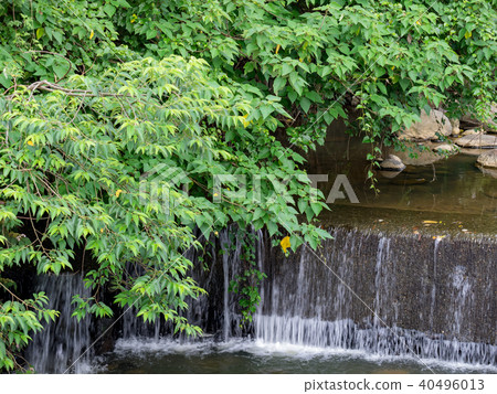 小溪 小溪 40496013