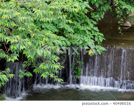 Creek Creek 40496016