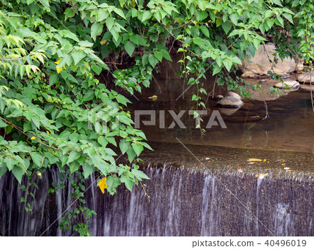 Creek Creek 40496019