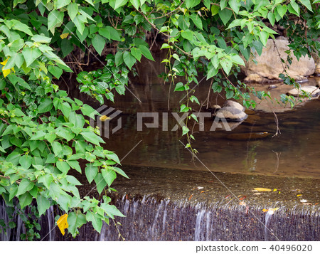 Creek Creek 40496020