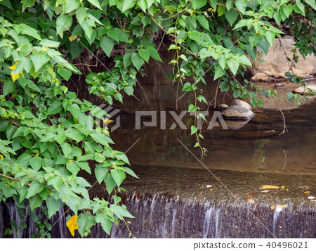 Creek Creek 40496021