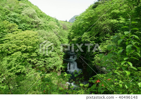 豐盛要塞 豐盛要塞 40496148