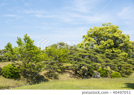 Fresh green Rurin Park 40497051