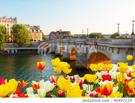 Pont Neuf, Paris, France 40497219