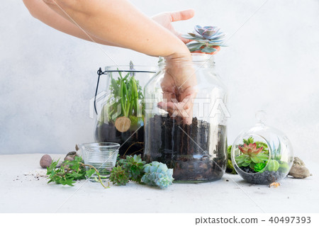 garden inside mason jar garden inside mason jar 40497393