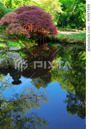 japanese garden in The Hague 40497489