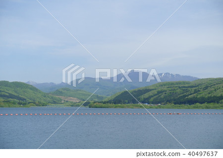 宮崎縣仙台市大倉壩 宮崎縣仙台市大倉壩 40497637