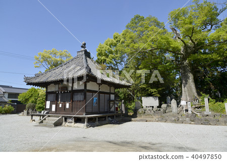 Kichijosoji Temple Kanondo Kichijosoji Temple Kanondo 40497850