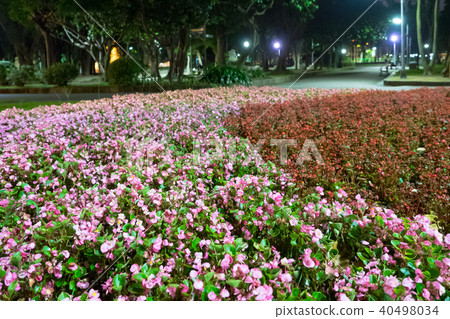 Evening park Evening park 40498034