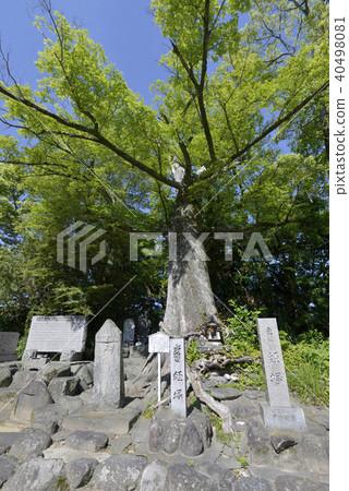 Kichijosoji Temple Kichijosoji Temple 40498081