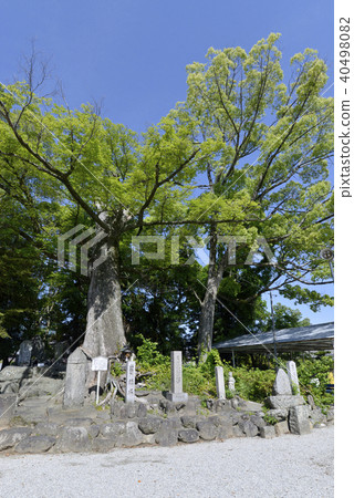 Kichijosoji Temple Kichijosoji Temple 40498082