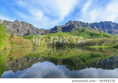 Fresh green Togakuko Pond Fresh green Togakuko Pond 40499156