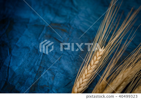 Background for Shavuot celebration Background for Shavuot celebration 40499323