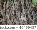 archaeological site 40499437