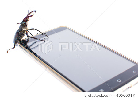 Beetle deer sits on a smartphone Beetle deer sits on a smartphone 40500017