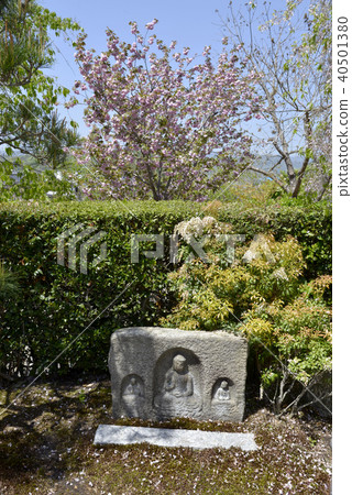 Enkoji Temple 40501380