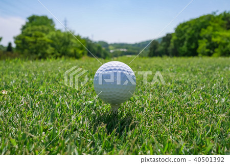 The teeing off on the golf course and the blue sky on the fairway. The teeing off on the golf course and the blue sky on the fairway. 40501392