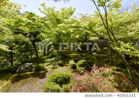 Toukoji花園 40501531