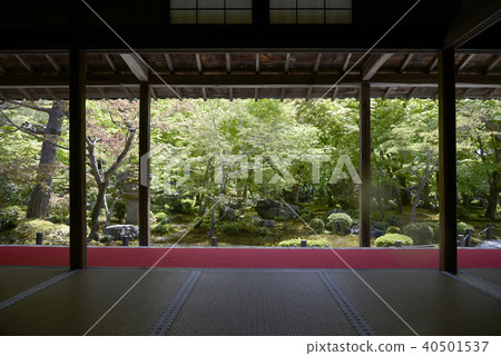 Toukoji花園 Toukoji花園 40501537