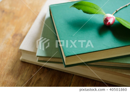 狼的一本圖畫書 狼的一本圖畫書 40501860