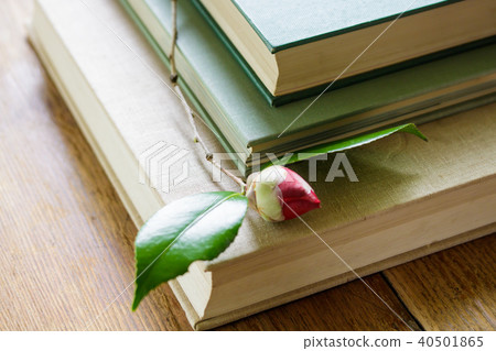 狼的一本圖畫書 狼的一本圖畫書 40501865