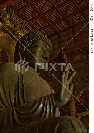 Todaiji Buddha of Nara 40501888