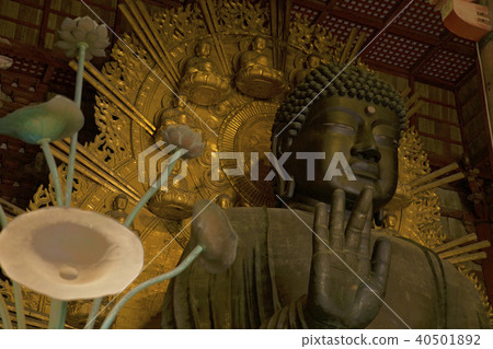 奈良的東大寺 40501892