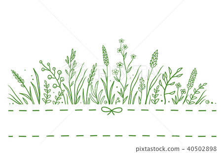 background with wild herbs 40502898