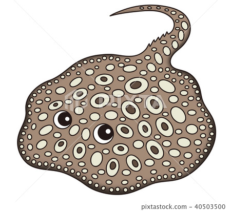 淡水鑽石波爾卡圓點黃貂魚Motro 40503500