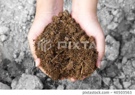 Asian girl holding hands before the ground  40503563