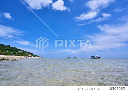 Okinawa Shinbara Beach Okinawa Shinbara Beach 40503965