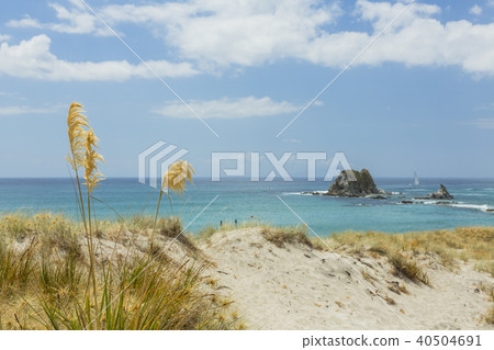 新西蘭Mangaphi海灘 40504691