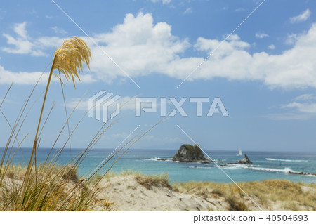 新西蘭Mangaphi海灘 40504693