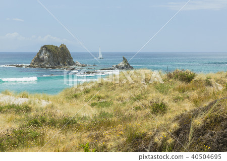 新西蘭Mangaphi海灘 40504695