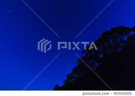 新西蘭李的星空 新西蘭李的星空 40505005