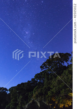 新西蘭李的星空 40505012