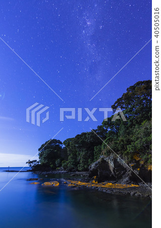 New Zealand Lee's Starry Sky 40505016