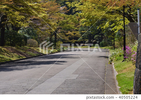 在故宮的路 40505224