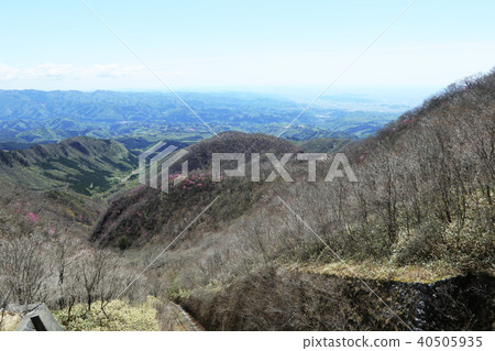 From the torii cape of Mt. Akagi to the area of Ripei Chaya Looking at Akaashio blooming on the east slope April 26, 2018 40505935