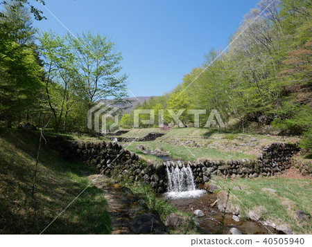 前橋市芥川町中之川早春的大泉河在Osanoyamanoya附近流動2018年4月26日 40505940