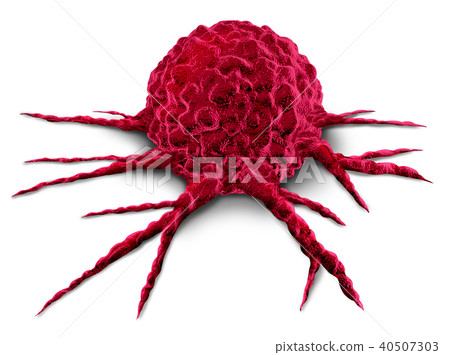 Cancer Tumor Cell 40507303
