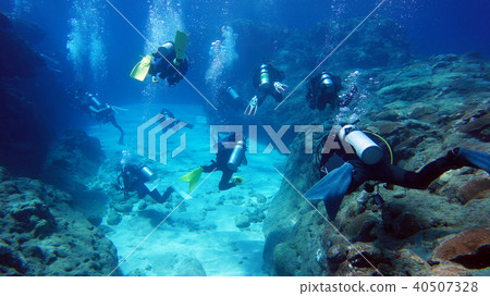 沖繩西表島潛水 沖繩西表島潛水 40507328